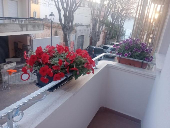 Casa Del Corso 호텔 도르갈리 외부 사진