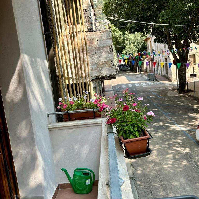 Casa Del Corso 호텔 도르갈리 외부 사진